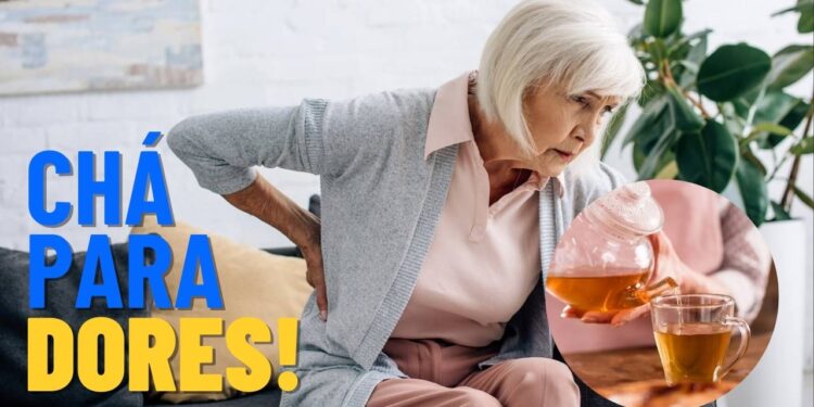 Apenas 4 folhas dessa planta e você terá um chá milagroso contra dores