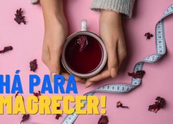 Dois chás que irão acelerar o seu processo de emagrecimento