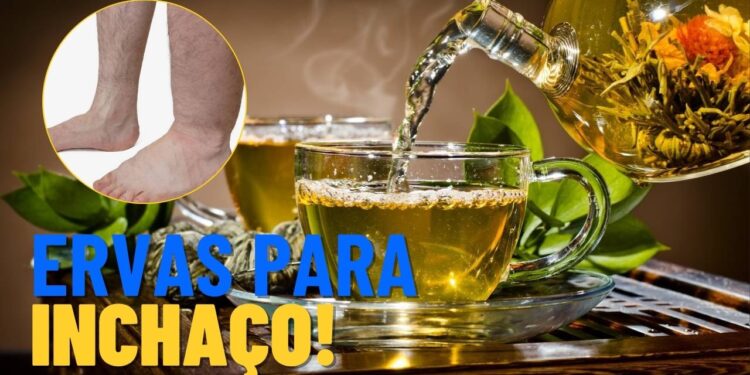 Ervas para diminuir o inchaço e aliviar a retenção de líquidos