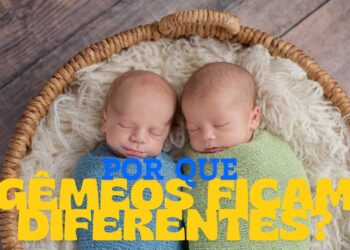 Por que gêmeos idênticos ficam diferentes com o tempo, segundo especialista
