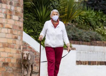 Como treinar seu cachorro a caminhar ao seu lado sem puxar a coleira