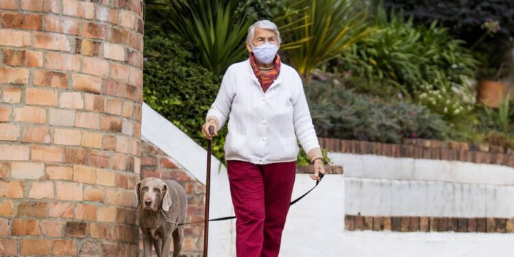 Como treinar seu cachorro a caminhar ao seu lado sem puxar a coleira