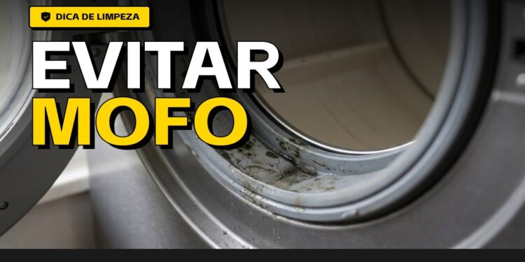 Máquina de lavar com cheiro? Saiba identificar mofo ou risco de praga