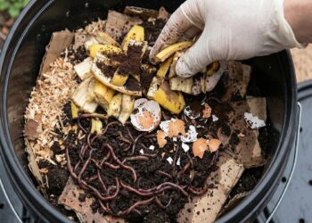 Iberê do Manual do Mundo ensina DIY para transformar lixo em adubo a custo zero