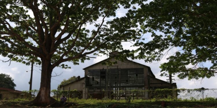 A cidade fantasma brasileira que parou no tempo e virou destino turístico