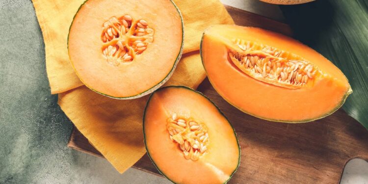 Faça uma pequena horta de melão no jardim com instruções de cultivo