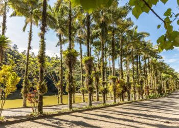 A cidade brasileira onde ninguém tranca a porta por ser uma das mais seguras do país