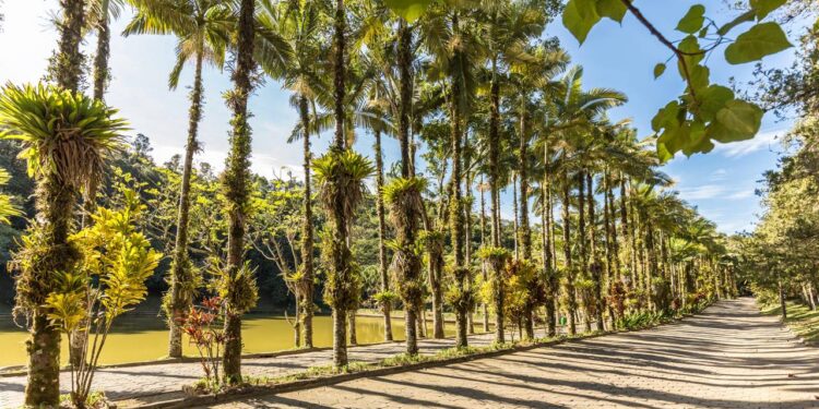 A cidade brasileira onde ninguém tranca a porta por ser uma das mais seguras do país