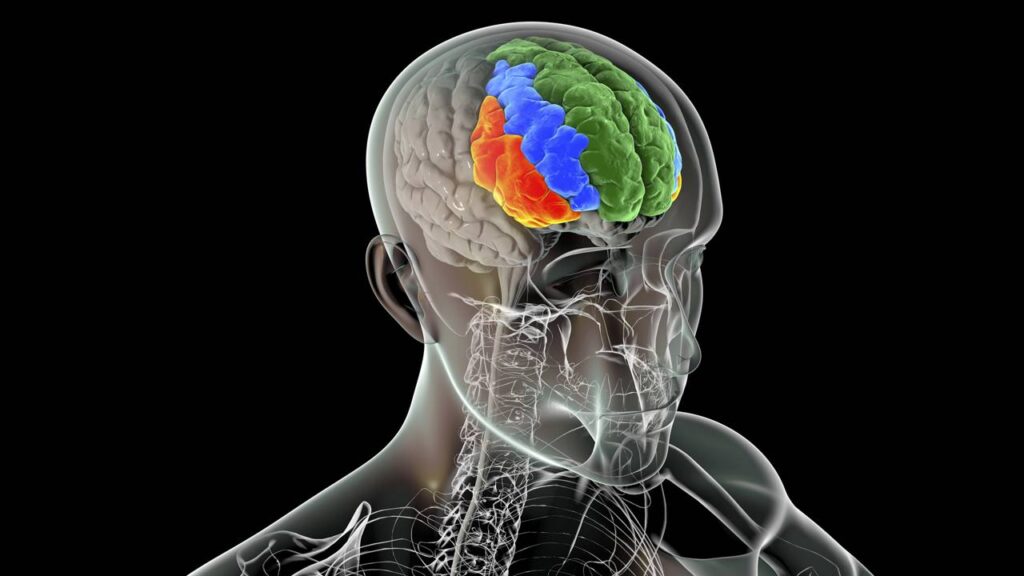 Por que algumas pessoas lembram dos sonhos com tanta clareza, segundo a ciência