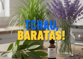 Nem inseticida, nem veneno: esta planta repele baratas naturalmente