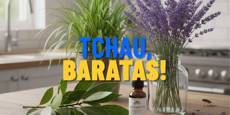 Nem inseticida, nem veneno: esta planta repele baratas naturalmente