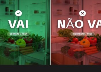 Vai na geladeira ou não? Saiba como conservar verduras e legumes