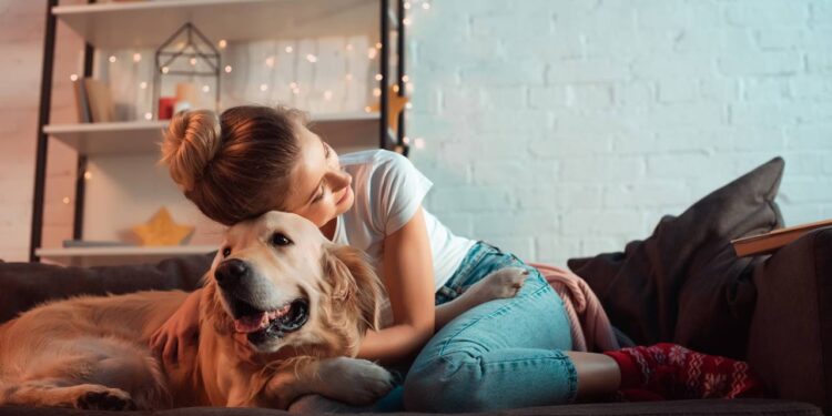 Como cuidar do seu cachorro recém castrado: dicas essenciais para recuperação