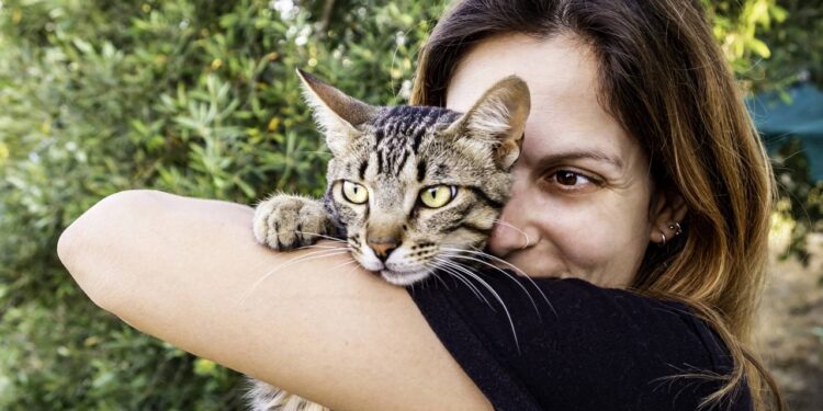 10 erros comuns que tutores iniciantes cometem ao cuidar de um gato