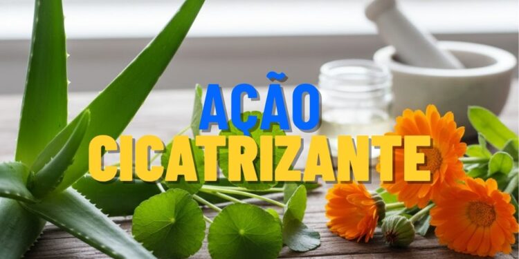 Trio natural mais potente para regenerar a pele