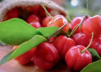 Como plantar acerola em casa e garantir vitamina C o ano todo