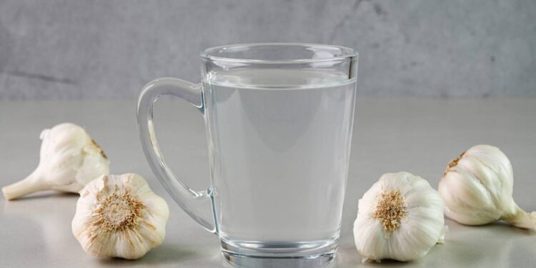 Água de alho: mito ou benefício real para a imunidade?