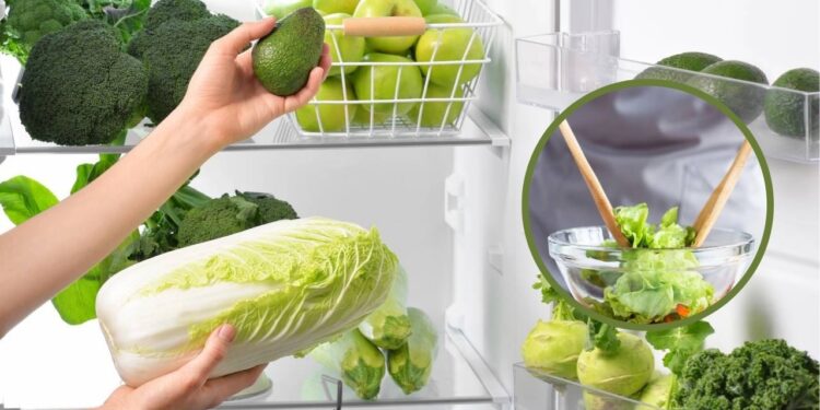 Truque para conservar alface por 10 dias sem murchar