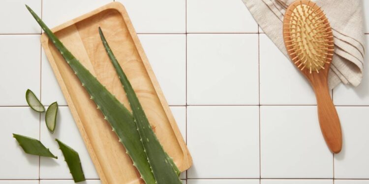 Usar babosa no cabelo tem benefício comprovado pela ciência