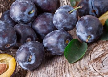 O jeito certo de guardar ameixas e evitar que estraguem rápido