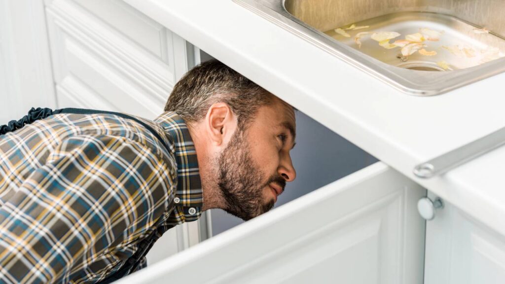 Como saber se há baratas escondidas na cozinha e o que fazer de imediato