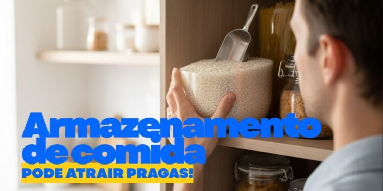 Erros na hora de guardar comida podem atrair pragas para a cozinha