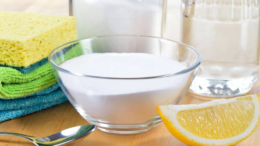 Nem desinfetante, nem álcool: ingrediente natural que elimina odores do lixo de vez