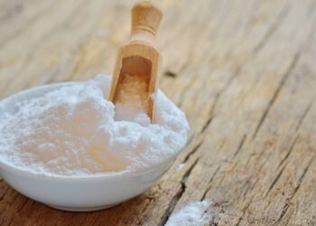 Saiba como acabar com ácaros de uma vez com truques caseiros que funcionam