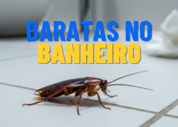 Corra para limpar estes 3 pontos se não quiser baratas no banheiro!