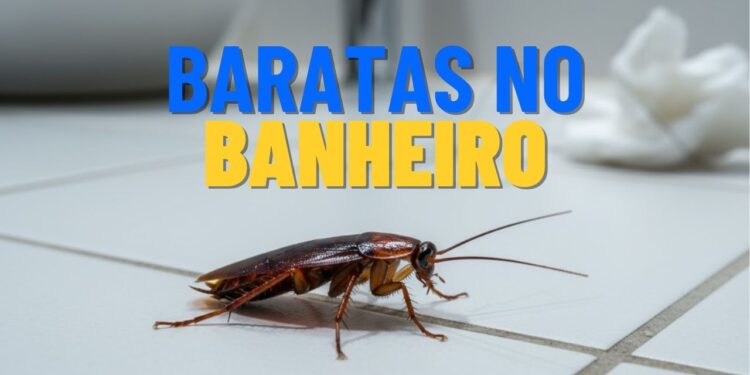Corra para limpar estes 3 pontos se não quiser baratas no banheiro!