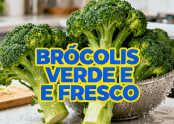 Armazene o brócolis e mantenha o verde vibrante por mais tempo com estas dicas