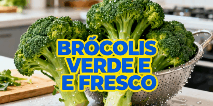 Armazene o brócolis e mantenha o verde vibrante por mais tempo com estas dicas