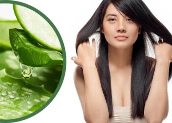 Estas plantas ajudam a fortalecer o cabelo e as unhas graças às suas propriedades