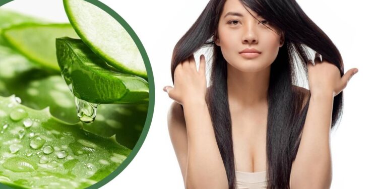 Estas plantas ajudam a fortalecer o cabelo e as unhas graças às suas propriedades