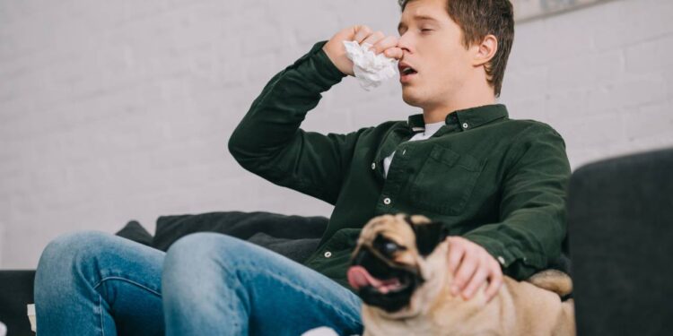 Aprenda de uma vez por todas se cachorro pode pegar resfriado humano