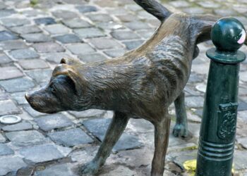 30 nomes de cachorros da televisão e do cinema para usar de inspiração com o seu pet