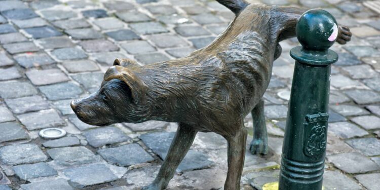 30 nomes de cachorros da televisão e do cinema para usar de inspiração com o seu pet