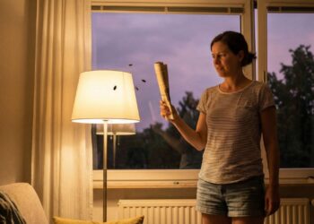 Como afastar besouros de luzes externas na primavera e evitar surpresas no calor