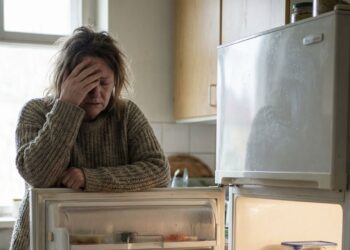 A geladeira dos anos 70 durava 30 anos e a de hoje só 8? A verdade que as fabricantes não contam