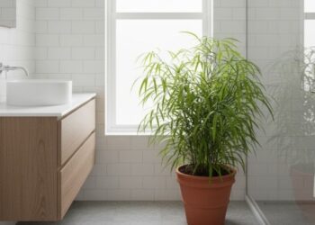 Plantas que mantêm o banheiro livre de insetos e do mau cheiro