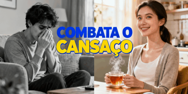 Plantas que combatem o cansaço do dia a dia e renovam sua energia