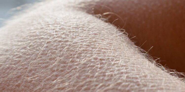 Saiba o por que sentimos e oque provoca os arrepios