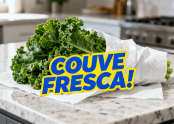 Como conservar couve por 12 dias fresquinha e sem congelar