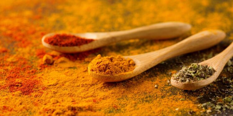 Conheça os 3 tipos de curry e para que serve cada um