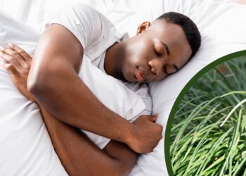 As ervas mais usadas para dormir melhor, segundo a ciência