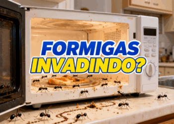 Formigas invadindo o micro-ondas? Veja como resolver