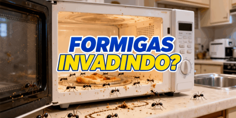 Formigas invadindo o micro-ondas? Veja como resolver