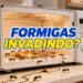 Formigas invadindo o micro-ondas? Veja como resolver