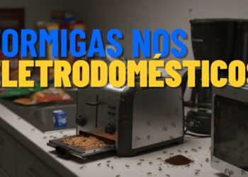 Como evitar formigas dentro da torradeira e outros pequenos aparelhos