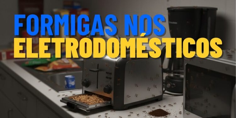 Como evitar formigas dentro da torradeira e outros pequenos aparelhos